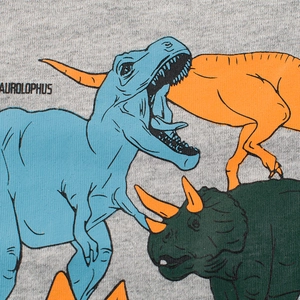 Grey cotton long sleeve boy shirt featuring vintage colorful dinosaur cartoon print