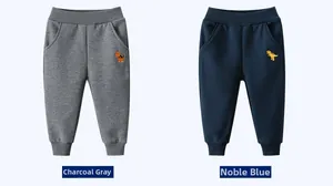 Vue détaillée du jogging enfant anthracite et bleu marine avec broderie dinosaure