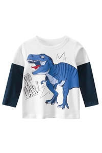 Detail of boys' long sleeve t-shirt featuring a blue T-Rex print and raglan sleeves