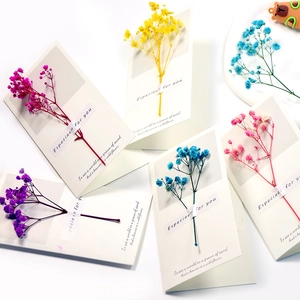 Detailed view of assorted colors of handmade dried flower greeting cards on white paper