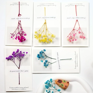 Detail view of five different colored dried baby's breath flowers on white gift cards