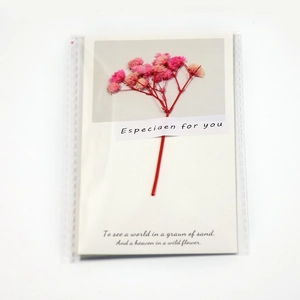 Detail of white handmade card with pink dried flowers and Best Wishes text in OPP bag