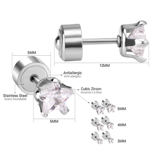 Détail des boucles d'oreilles étoile en zircone 5mm avec fermoirs en acier inoxydable