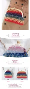 Detailed view of rainbow acrylic beaded bag with metallic chain strap and dimensions