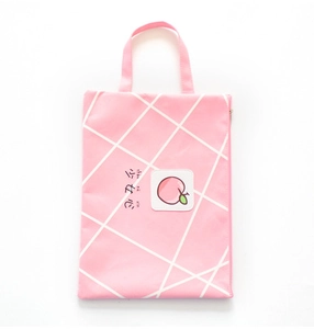 Pink canvas document bag with peach pattern and white grid for student organization
