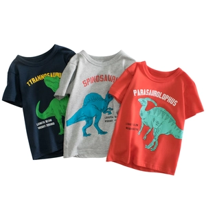 T-Shirt à Manches Courtes en Coton pour Garçons avec Impression Scientifique de Dinosaures Haut d'Été Décontracté à Col Rond