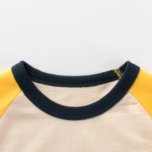Raglan sleeve T-shirt detail showing contrast ribbed crew neck and stitching in close-up