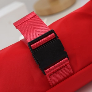 Close-up of red nylon webbing strap with black plastic side-release buckle detail