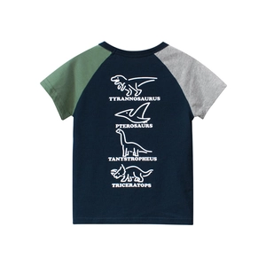Kids navy dinosaur t-shirt with raglan sleeves in green and grey color block style