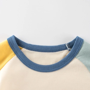 Kids colorblock dinosaur tee with crew neck and raglan sleeves in high quality cotton