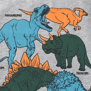 Kids grey cotton T-shirt featuring colorful cartoon dinosaur prints and species names