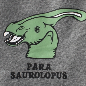 Short gris pour enfant avec imprimé graphique de dinosaure parasaurolophus vert