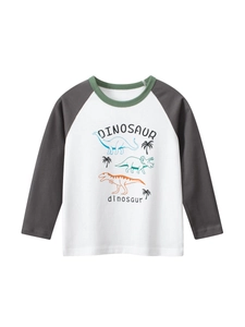 Boys Long Sleeve T-Shirt 100% Cotton Raglan Casual Cartoon Dinosaur Print Crew Neck Top For Kids