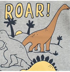 Gros plan du t-shirt gris pour enfant avec motifs dinosaures colorés et texte 'ROAR!'