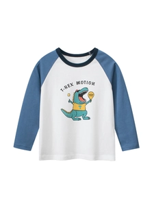 Boys Long Sleeve T Shirt Pure Cotton Raglan Sleeves Cartoon Dinosaur T-Rex Print Casual Crew Neck Top For Toddlers