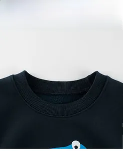 Close-up of ribbed crewneck and warm fleece lining on toddler dinosaur sweatshirt