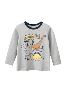 T-Shirt À Manches Longues Pour Garçons Pur Coton Imprimé Dinosaure Dessin Animé Col Rond Haut Décontracté Pour Tout-Petits Gris