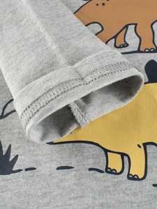 T-shirt gris à manches longues pour garçons avec imprimé détaillé de dinosaure