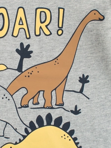 T-shirt gris à manches longues pour garçons avec des motifs de dinosaures colorés