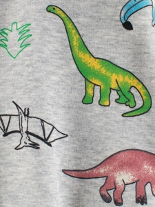 Sudadera gris de felpa para niños con estampado de dinosaurios y textura suave acogedora