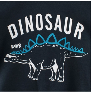 Detailed view of dinosaur cartoon print on navy blue children pullover sweatshirt