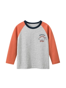 T-Shirt À Manches Longues Garçon Coton Manches Raglan Dessin Animé Dinosaure Skateboard Imprimé Décontracté Col Rond