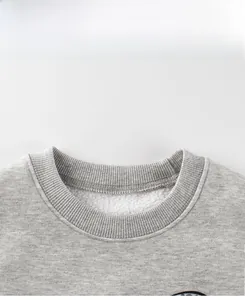 Detailed macro view of the grey ribbed crew neck and soft fleece lining of the kid's sweatshirt