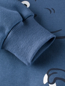 Kinder Fleece Sweatshirt in Dunkelblau mit Dino-Print und elastischen Rippbündchen am Ärmel