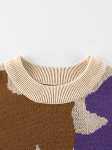Kids' knit sweater with color-block patchwork and ribbed crew neck in soft fabric