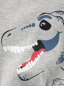 Kids grey dinosaur sweatshirt with high-quality t-rex print and soft fabric texture