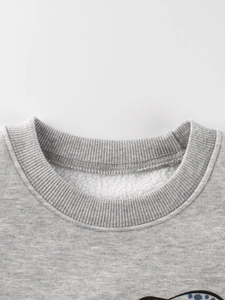 Grey crewneck sweatshirt for boys with soft fleece lining and dinosaur print detail