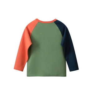 Detail of boys long sleeve cotton t-shirt with contrast raglan sleeves and dinosaur green