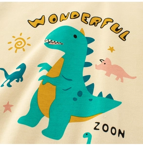 Detailed close-up of knit fabric and colorful dinosaur graphic on boys long sleeve tee