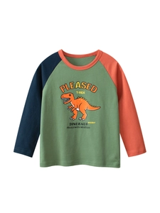 Boys Long Sleeve T-Shirt Cotton Raglan Color Block Cartoon Dinosaur Print Round Neck Casual Top For Kids