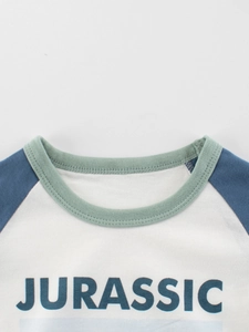 T-shirt à manches raglan pour enfants avec imprimé Jurassic et col contrasté vert sauge