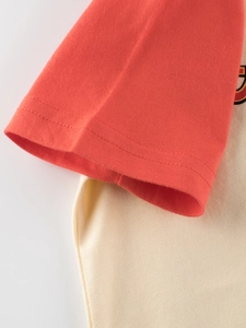 T-shirt à manches courtes pour garçon avec blocs de couleurs blanc cassé et rouge brique