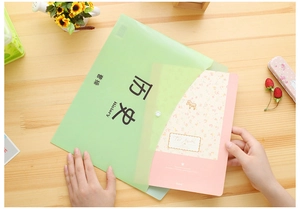 Translucent light green A4 history file folder on a wooden desk with stationery