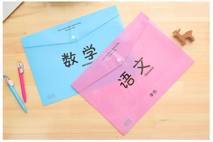 Close-up of blue and pink A4 plastic document folders with snap buttons on a desk