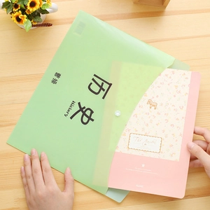 Translucent light green A4 file bag with snap closure on a wooden desk with sunflower