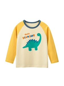 Maglietta a Maniche Lunghe per Bambini 100% Cotone Dinosauro del Fumetto Manica Raglan Top per Ragazzi Ragazze Casual Primavera Autunno