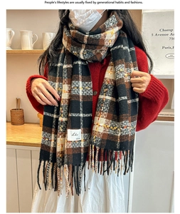 Detail of plaid scarf featuring fringe tassels and brand label against a red sweater