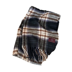 Classic plaid winter scarf with red brand label and tassels on a clean white background