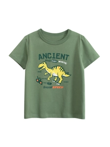 T-Shirt Garçon Pur Coton Manches Courtes Col Rond Graphisme Dinosaure Dessin Animé Haut Décontracté Été Pour Enfants