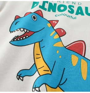 Close-up of cotton kids T-shirt featuring colorful dinosaur print and text details