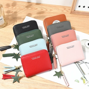 Minimalist square zip wallet for women with star charm and tassel in multiple colors