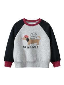 Boys Casual Sweatshirt Fleece Lined Winter Pullover Cartoon Dachshund Print Color Block Raglan Sleeve Kids Warm Top