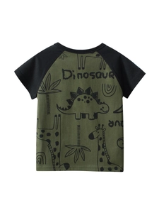 T-shirt estiva da bambino in cotone con stampa di dinosauri e maniche raglan verdi