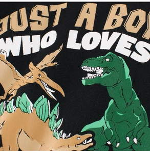 Macro detail of high-quality cotton T-shirt featuring colorful dinosaur prints and text