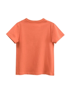 Kids cotton short sleeve T-shirt in brick orange, casual round neck summer top for boys
