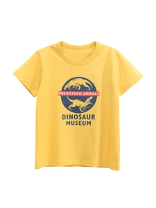 Boys Cotton Dinosaur Museum Print T-Shirt Round Neck Short Sleeve Summer Yellow Top For Kids Casual Wear